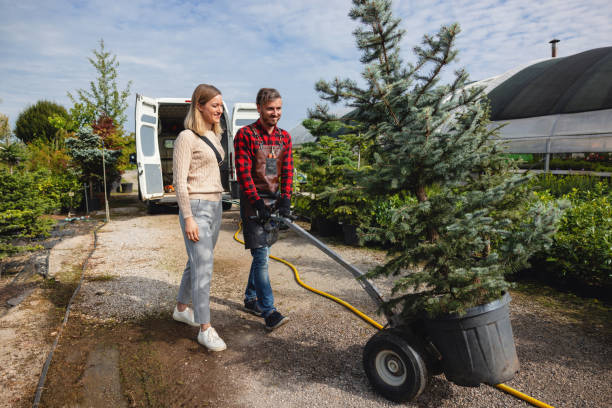 Best Lawn Grading and Leveling  in Laguna Hills, CA