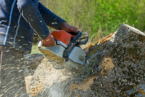 Soil Testing and Treatment in Laguna Hills, CA